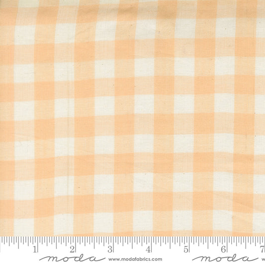 Popcorn Wovens by Elizabeth Hartman - Checks and Plaids Blush 51285 21