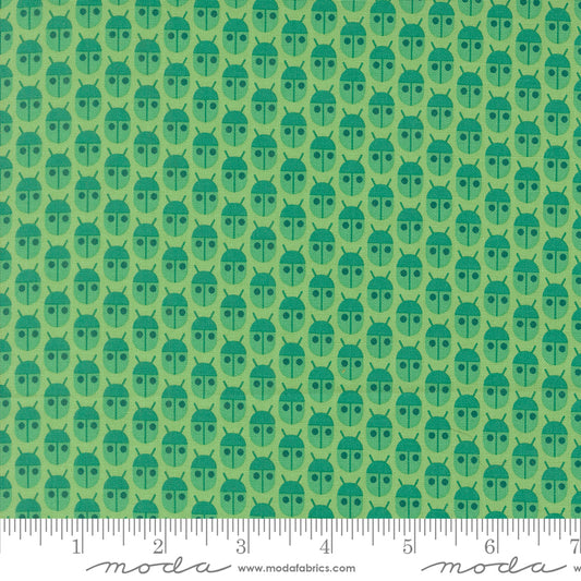 Popcorn by Elizabeth Hartman - Little Bugs Jade 51280 15