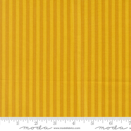 Popcorn by Elizabeth Hartman - Stripe Golden 51283 30