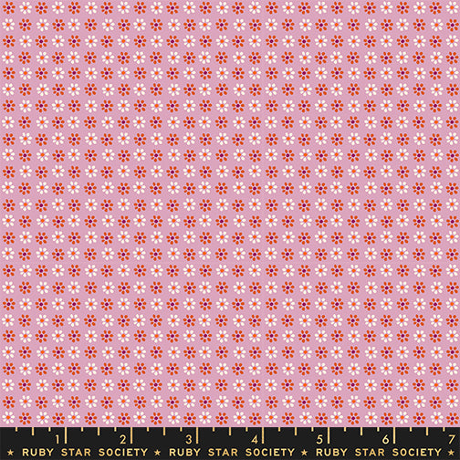 Sugar Maple by Alexia Abegg - Daisy Peony RS4094 18