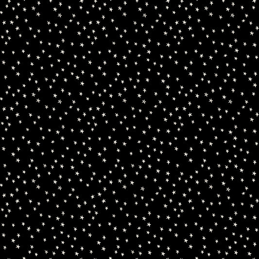 Good Spirits Collaborative Collection by Ruby Star Society : Mini Starry Black RS5142 16