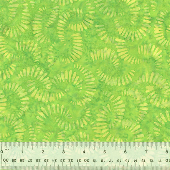 Splendor Quiltessentials 7 Batiks by Anthology Fabrics : Citrus Slice Lime 440Q-4