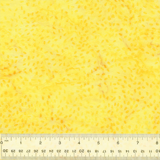 Splendor Quiltessentials 7 Batiks by Anthology Fabrics : Seeds Butter 443Q-2