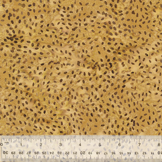 Splendor Quiltessentials 7 Batiks by Anthology Fabrics : Seeds Peanut 443Q-8