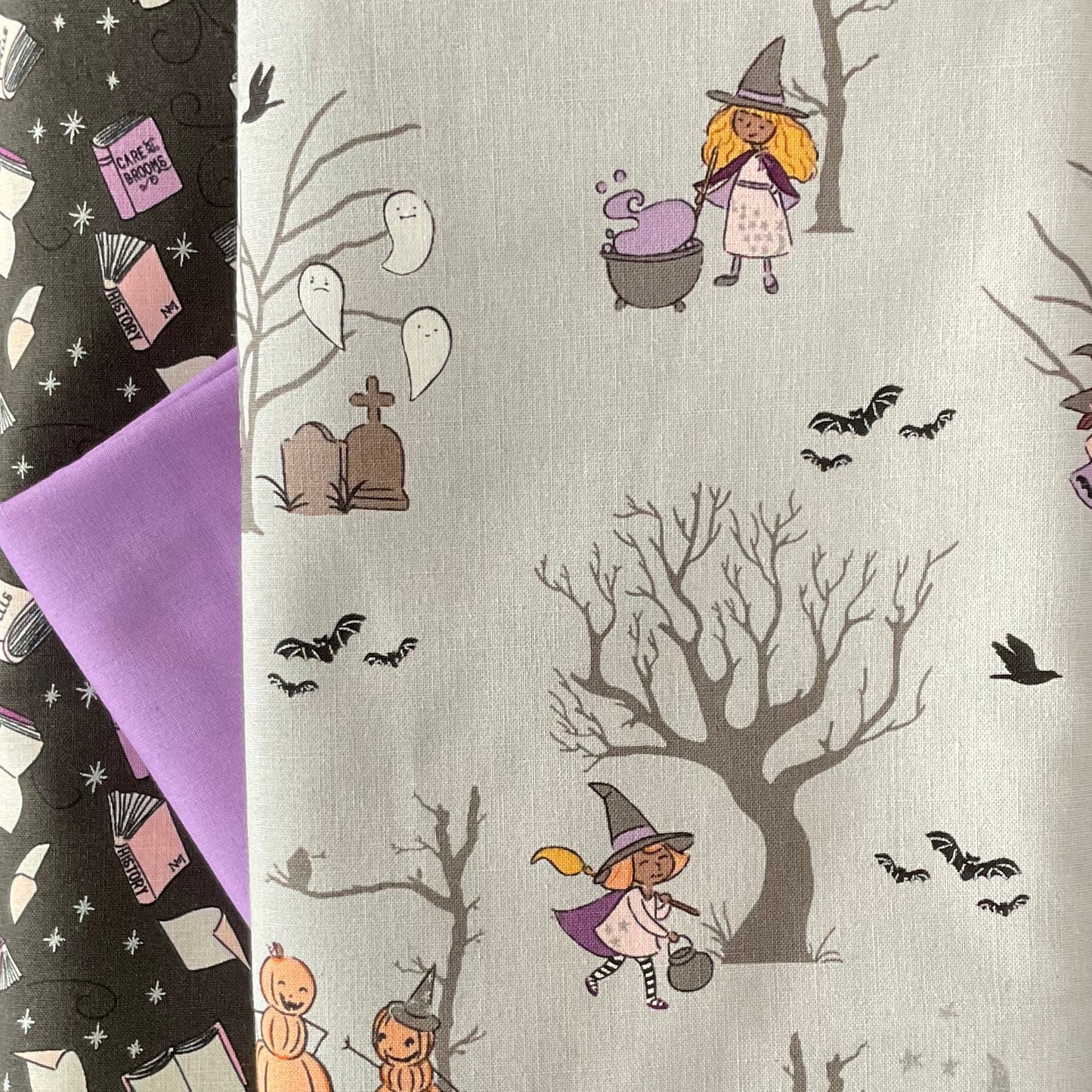 Spooky Schoolhouse by Melissa Mortenson - Whole Cloth Quilt Bundle