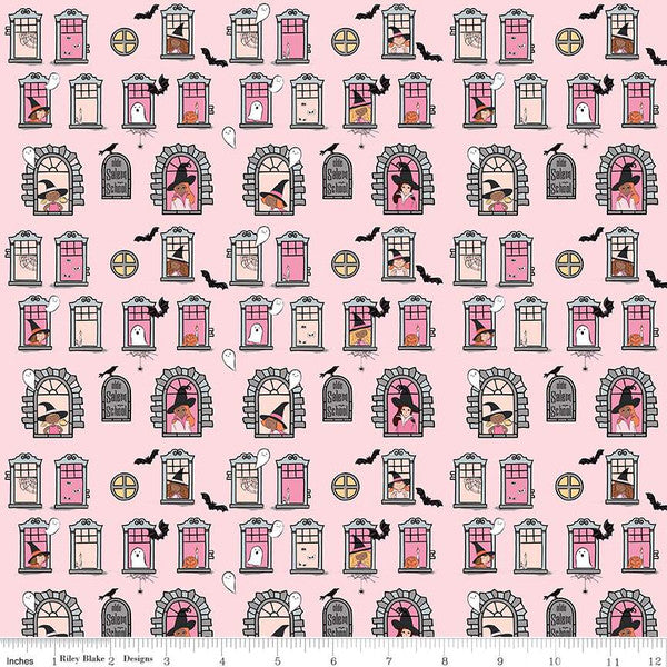 Spooky Schoolhouse by Melissa Mortenson : Witch School Pink