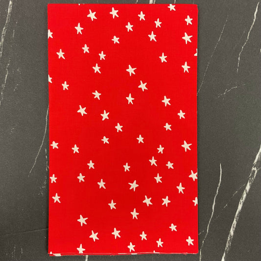 Starry 2025 by Alexia Abegg - New Ladybug RS4109 74