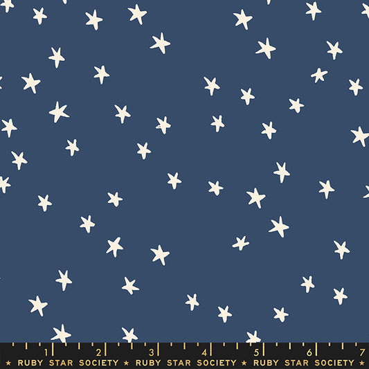 Starry by Alexia Abegg : Starry - Bluebell RS4109 60