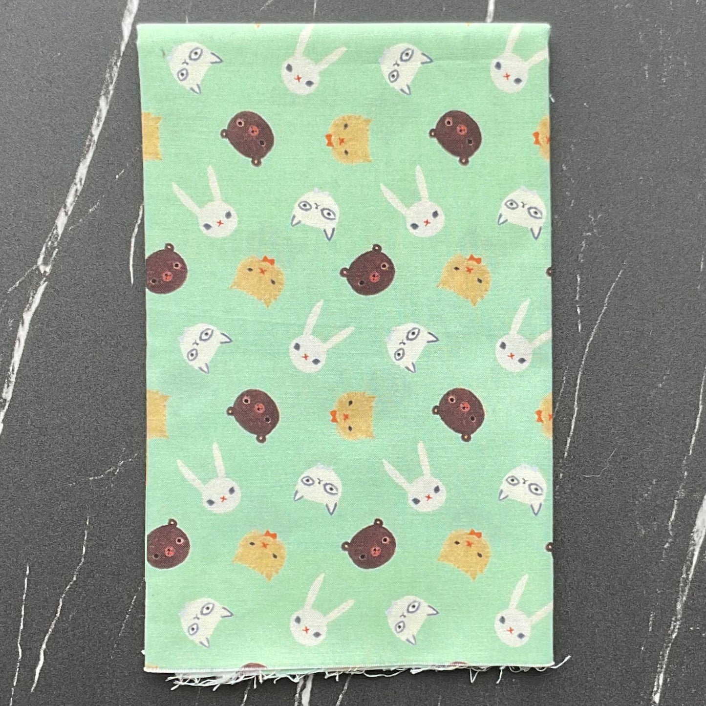 The Littlest Family’s Big Day by Emily Winfield Martin : Friends Mint