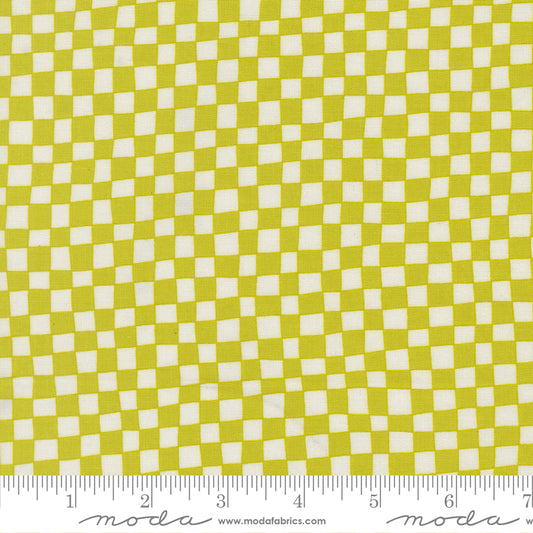 True to Hue by Alli K Design : Monochrome Checks and Plaids Citronized 11563 16