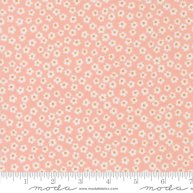 True to Hue by Alli K Design : Petal Power Blush 11566 18