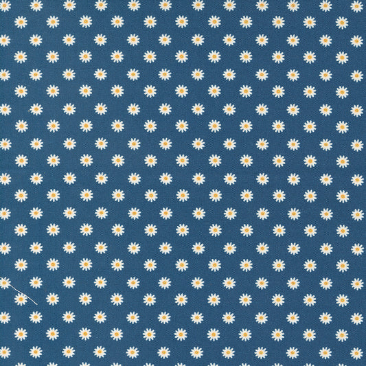 Vintage Soul by Cathe Holden : Daisies Blue