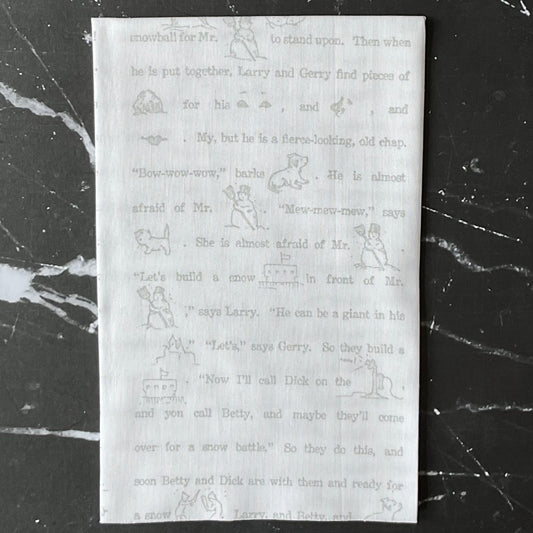 White as Snow by J. Wecker Frisch : Snow Story Grey