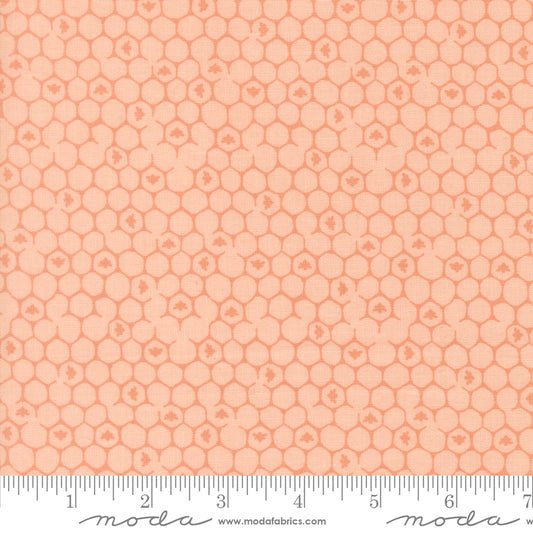 Wildbriar by Sweetfire Road : Honeycomb Blush 43226 13
