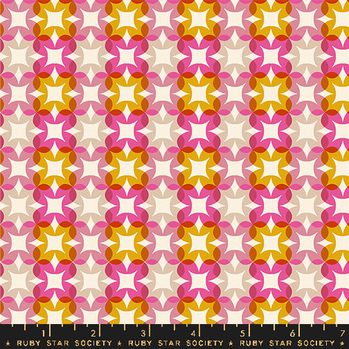 Woodland Park by Rashida Coleman Hale - Flower Plaid Raspberry RS1085 14