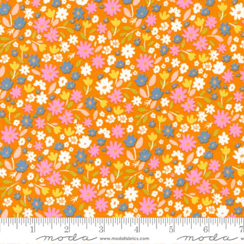 Marigold by Aneela Hoey - Summer Sunshine 24602 15