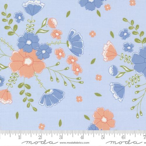 Peachy Keen by Corey Yoder - Light Blue 29170