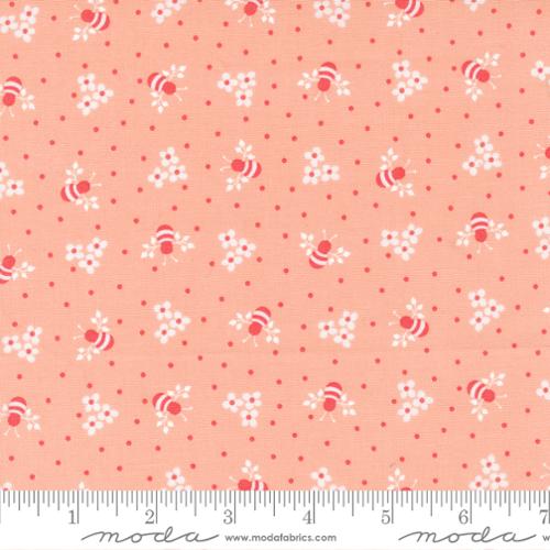 Sunwashed by Corey Yoder Busy Bee Coral 29163 23