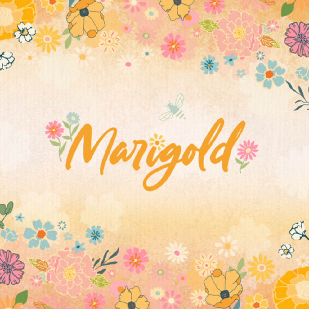 Marigold by Maureen Cracknell