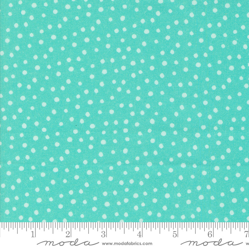 Flower Patches by Amarilys Henderson : Dotty Aqua