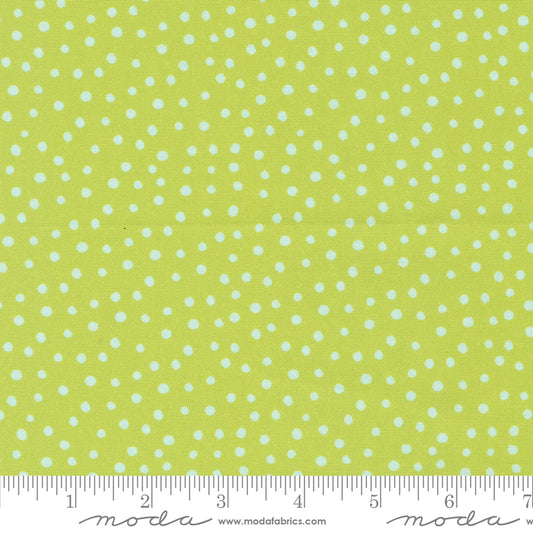 Flower Patches by Amarilys Henderson : Dotty Citrus