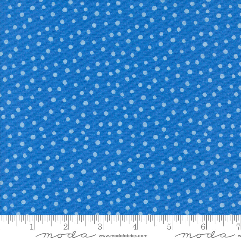 Flower Patches by Amarilys Henderson : Dotty Blue