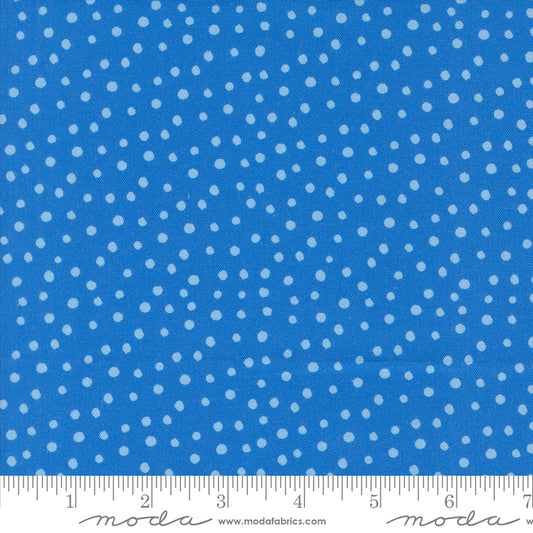 Flower Patches by Amarilys Henderson : Dotty Blue