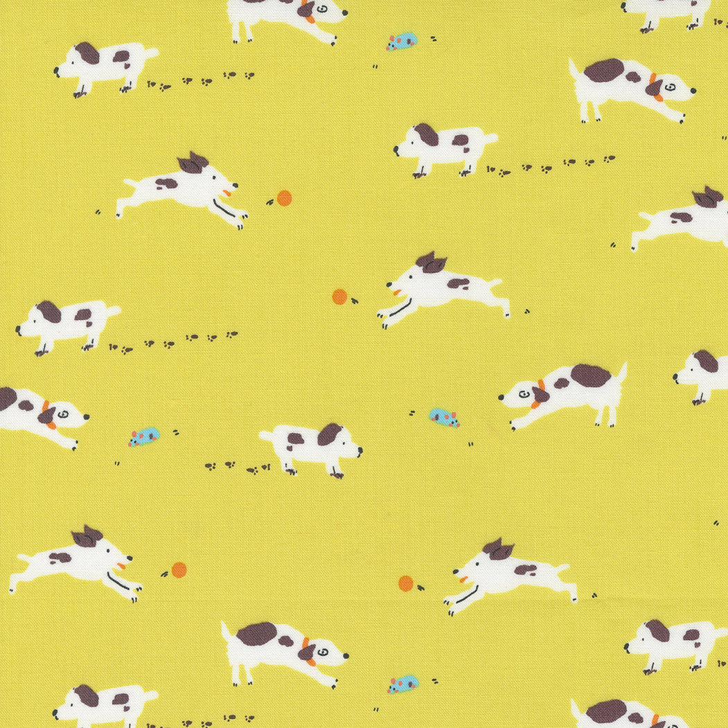 Pips by Aneela Hoey - Pips Puppy Dogs Tails Lemon Fizz 24592 12