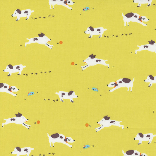 Pips par Aneela Hoey - Pips Puppy Dogs Tails Lemon Fizz 24592 12