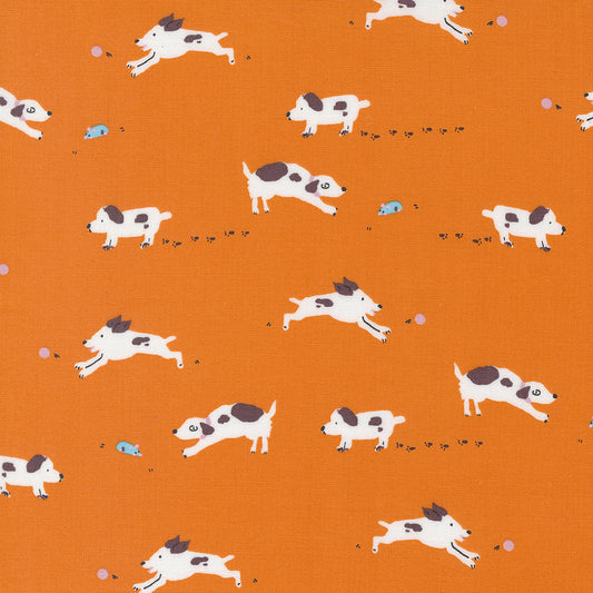 Pips par Aneela Hoey - Pips Puppy Dogs Tails Orangeade 24592 18