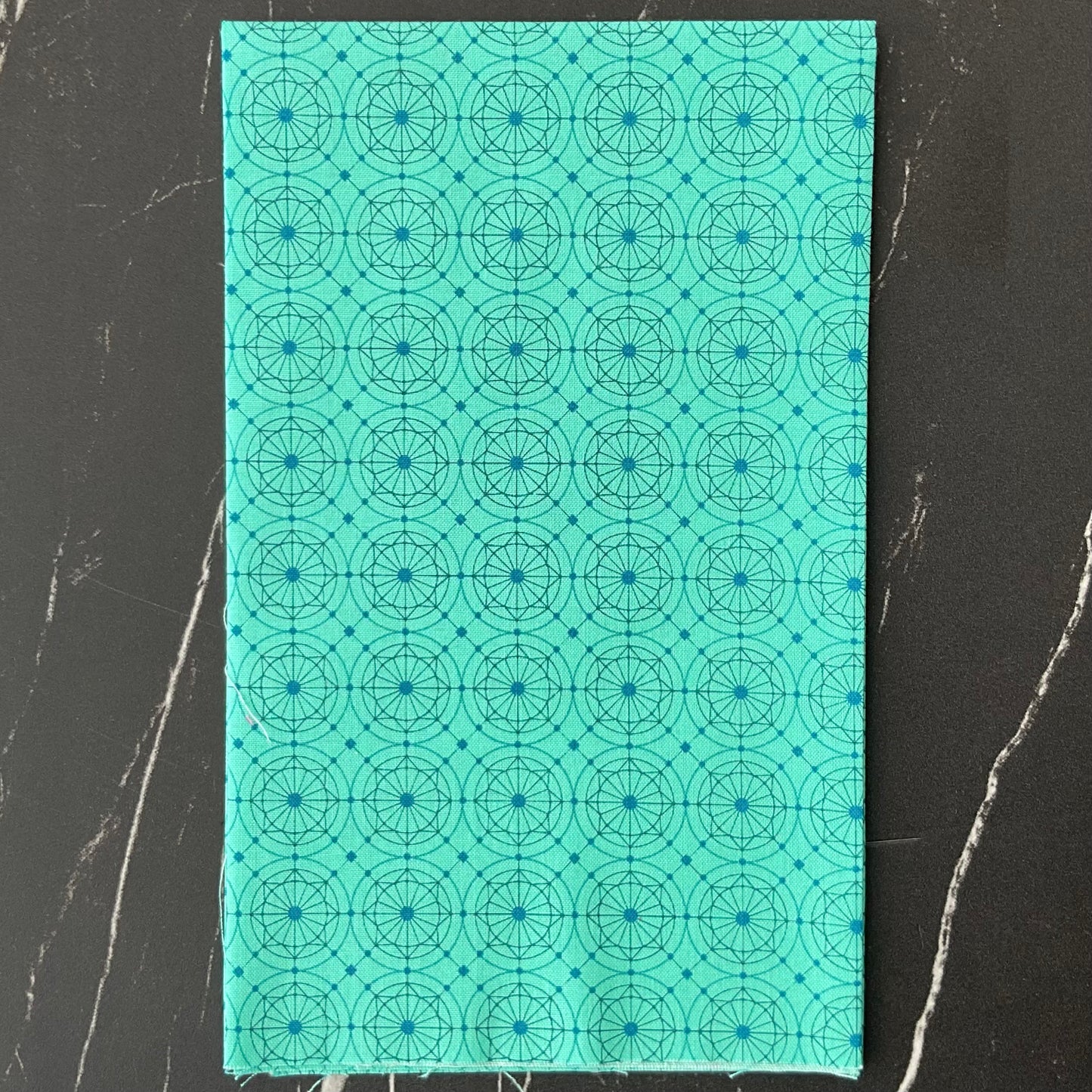 40 by Giucy Giuce : Buttons Trapper Keeper 1403-T