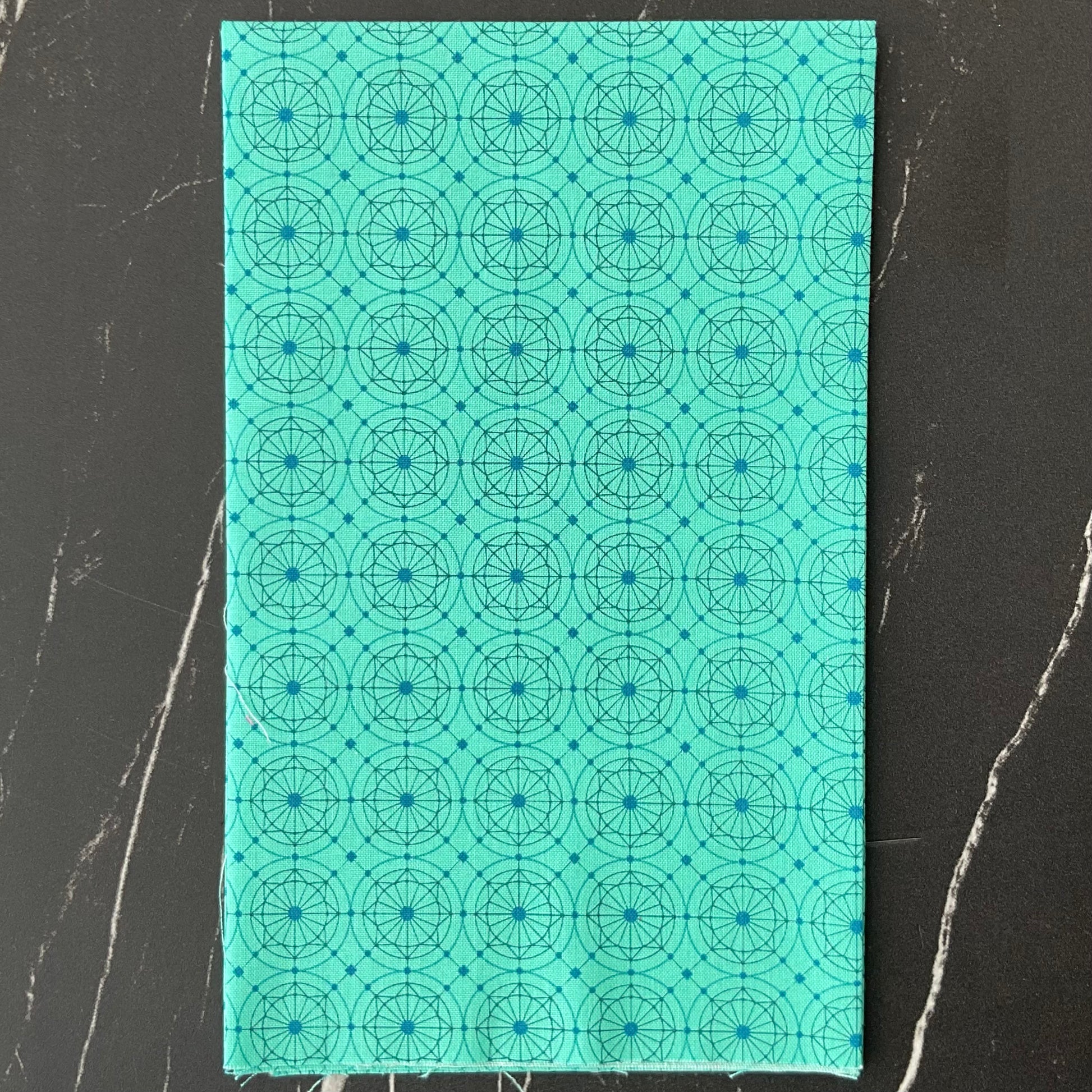 40 by Giucy Giuce : Buttons Trapper Keeper 1403-T