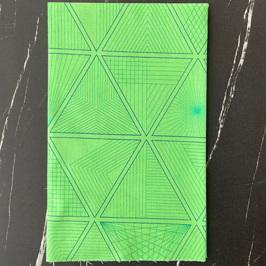 40 by Giucy Giuce : Triangula Goosebumps 1391-G