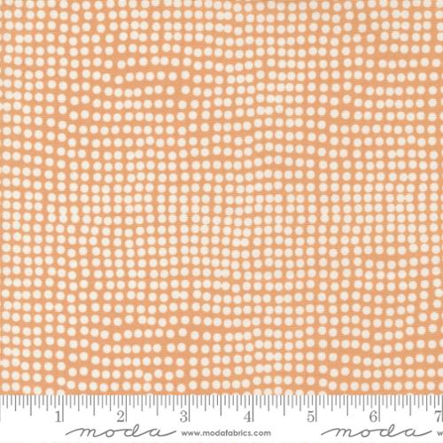 Frisky par Zen Chic : Frisky Dots Peachy 1774 20 