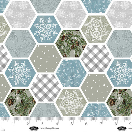 Chill Factor Flannel by Raquel Maciel : Hexagons Gray 4244F-90