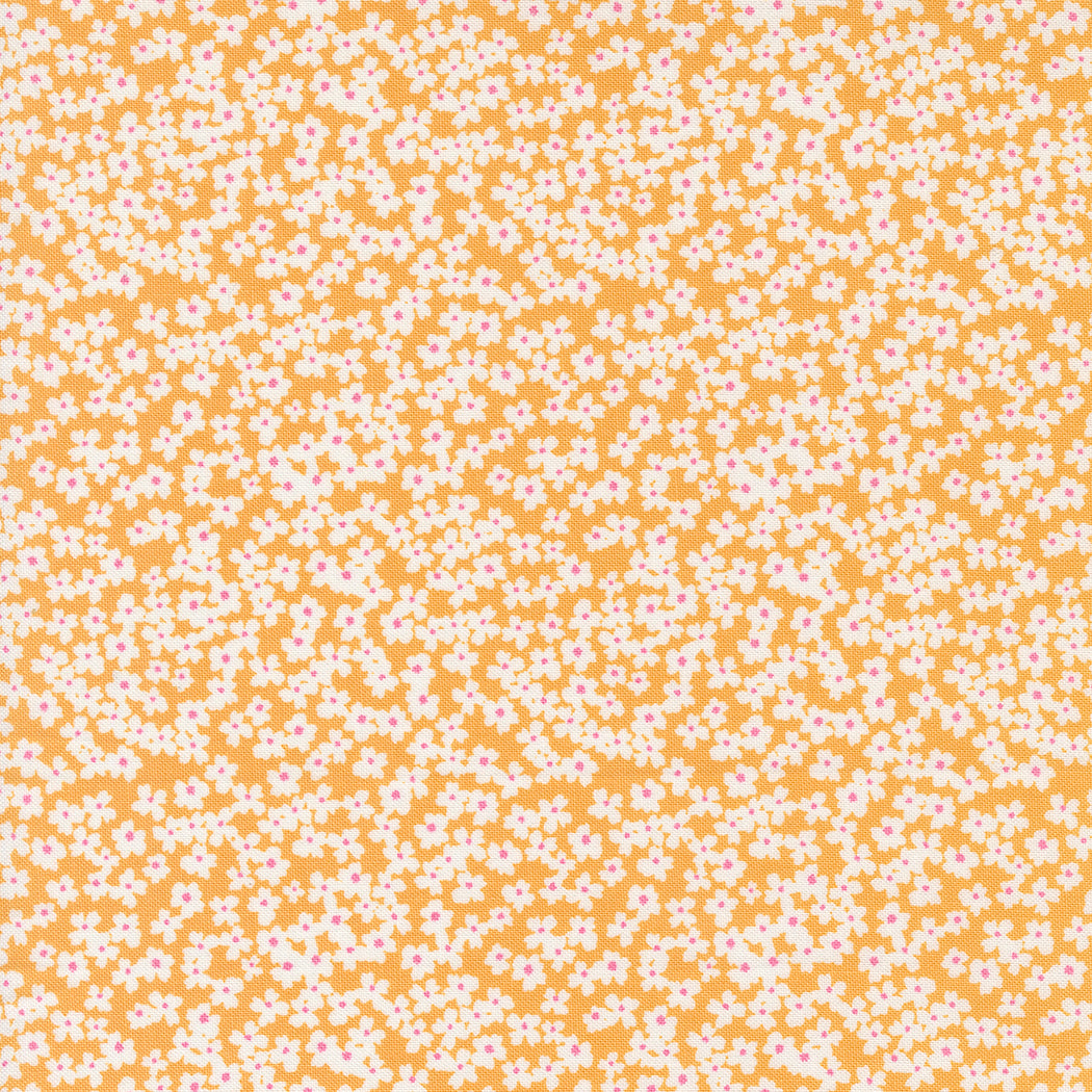 Shine by Sweetwater : Bloom Orangesicle 55672 15