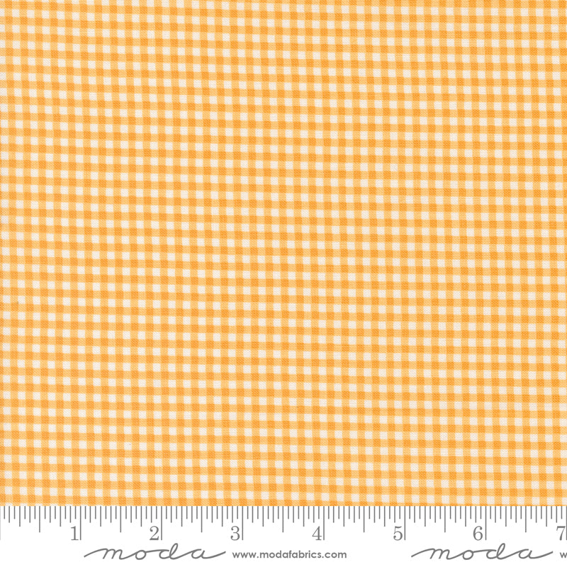 Shine by Sweetwater : Gingham Orangesicle 55676 15