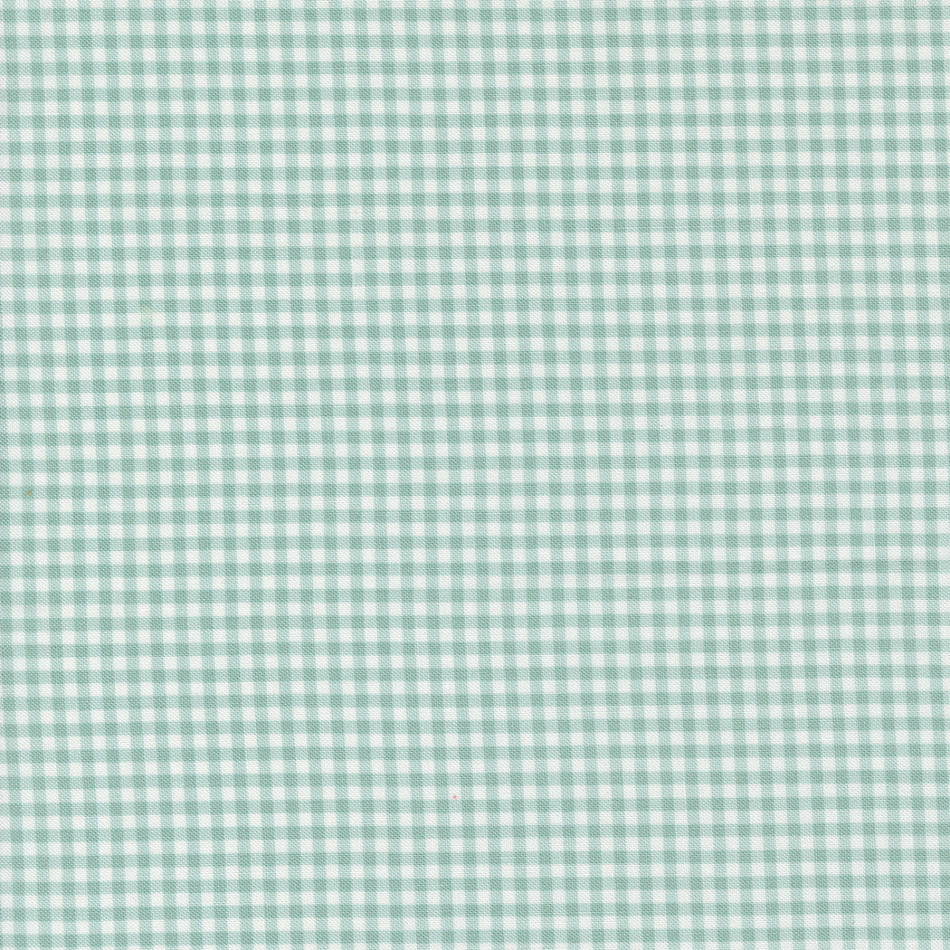 Shine by Sweetwater : Gingham Sky 55676 12 (Estimated Ship Date Oct. 2024)