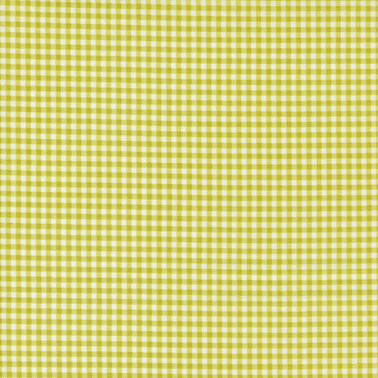 Shine by Sweetwater : Gingham Grass 55676 16 (Estimated Ship Date Oct. 2024)