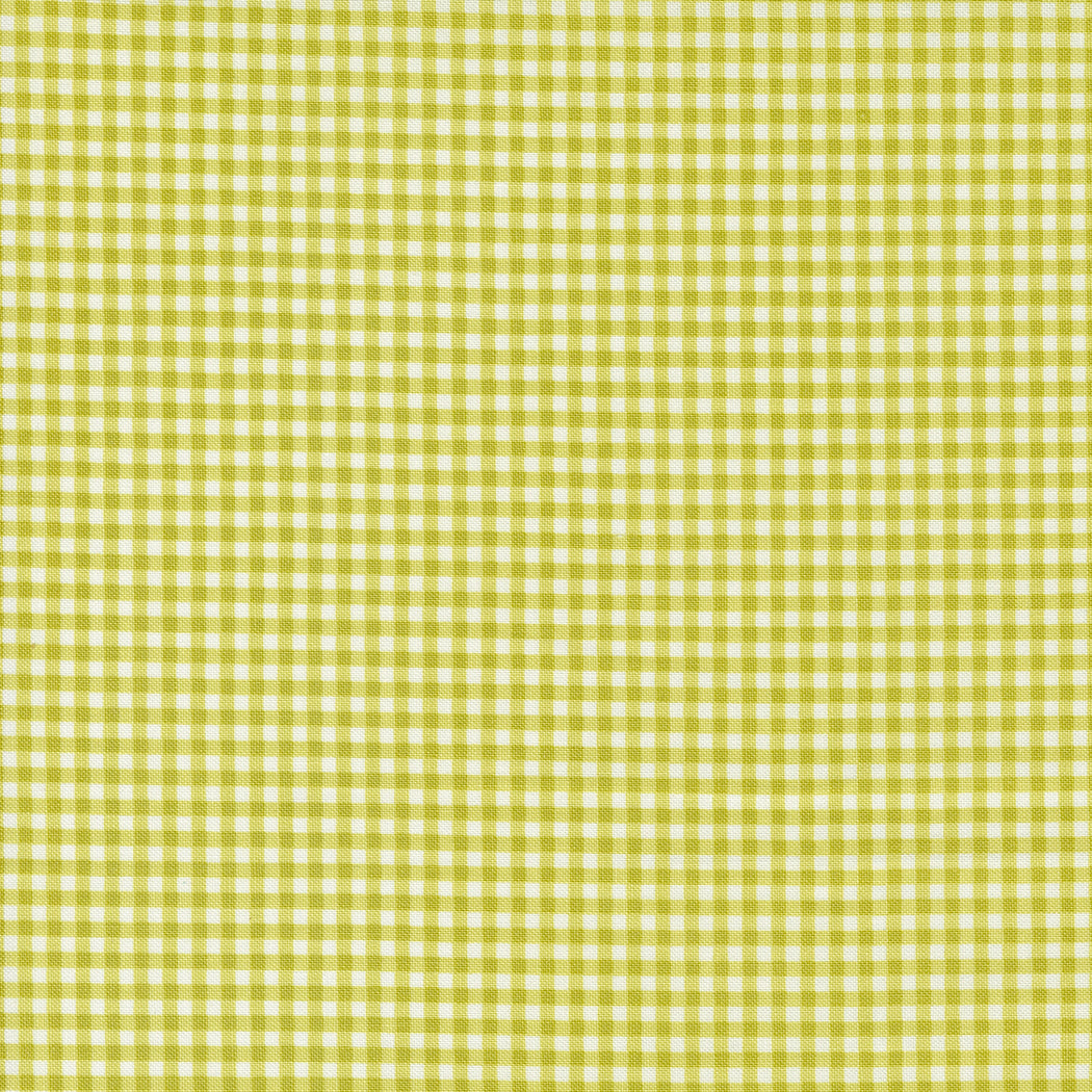 Shine by Sweetwater : Gingham Grass 55676 16 (Estimated Ship Date Oct. 2024)