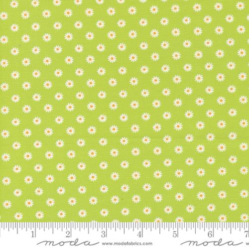 Vintage Soul by Cathe Holden : Chartreuse 7439 17