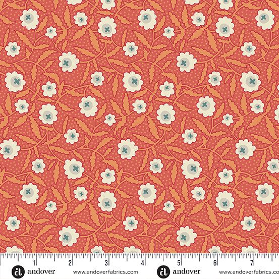 Précommande Boîte à Fleurs par Renee Nanneman : Bachelor Button Orange A-1016-O