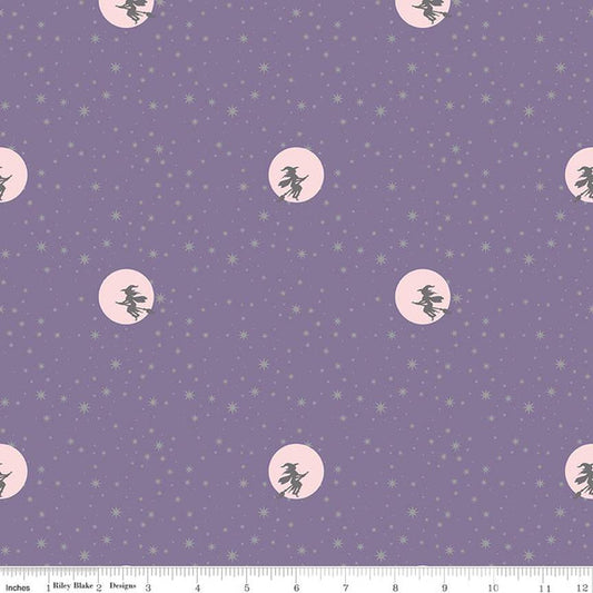 Spooky Schoolhouse by Melissa Mortenson: Starry Night Lilac Sparkle