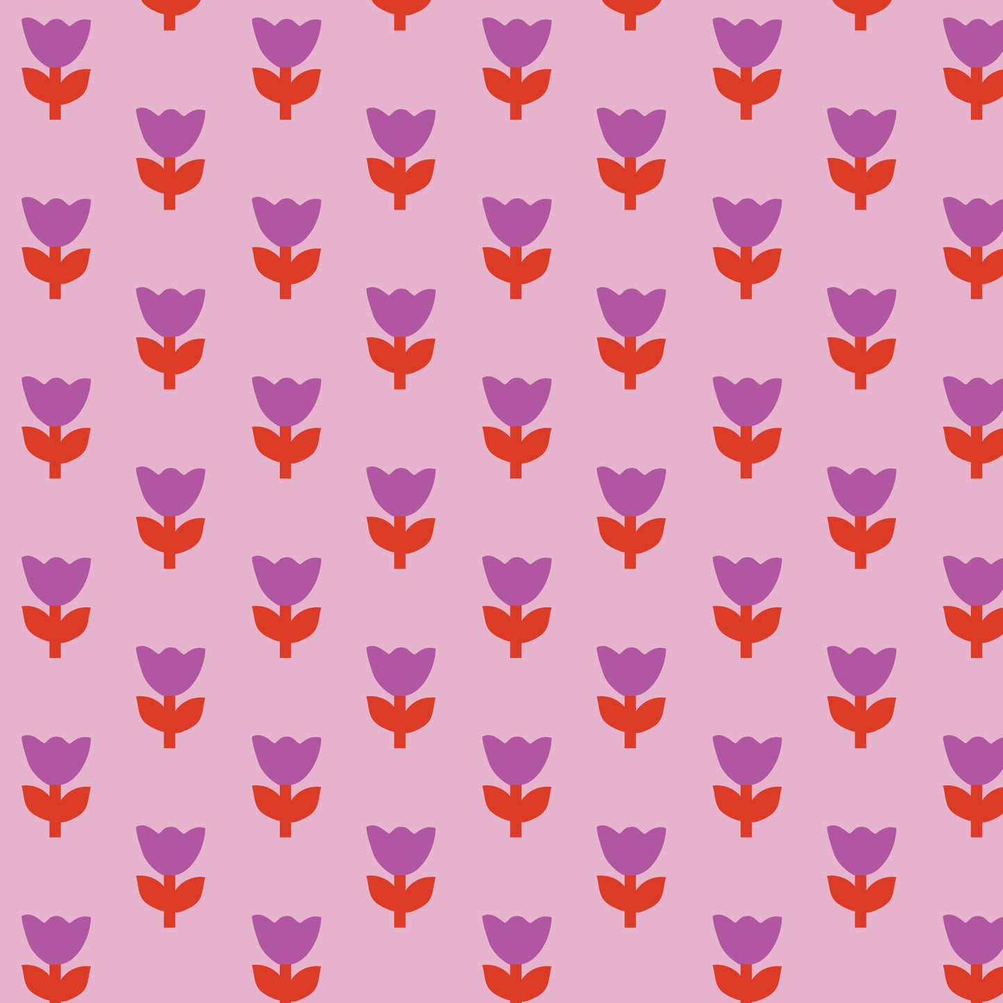 A Tulip Story by Leah Duncan : Tulip Tango Pink 229297