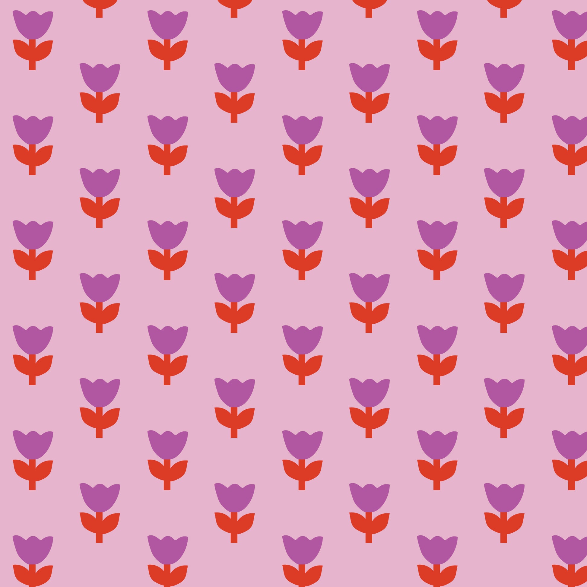 A Tulip Story by Leah Duncan : Tulip Tango Pink 229297