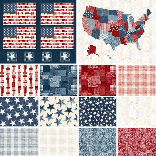 **Activate if have extra panels**Pieces of America by Lilac Bee Designs : Snapshot Quilt Kit