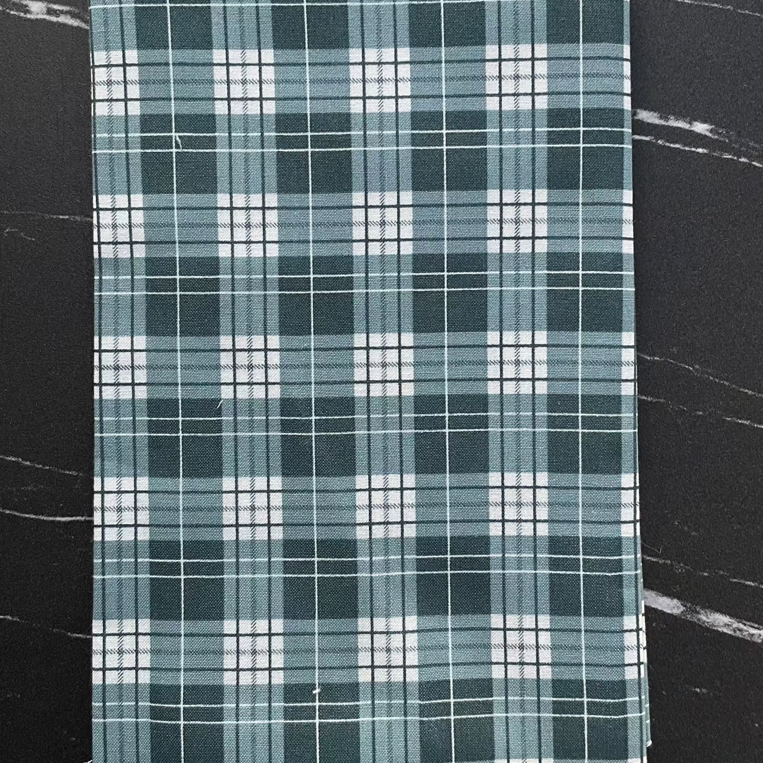 Ally's Garden by Dani Mogstad : Plaid Colonial Blue