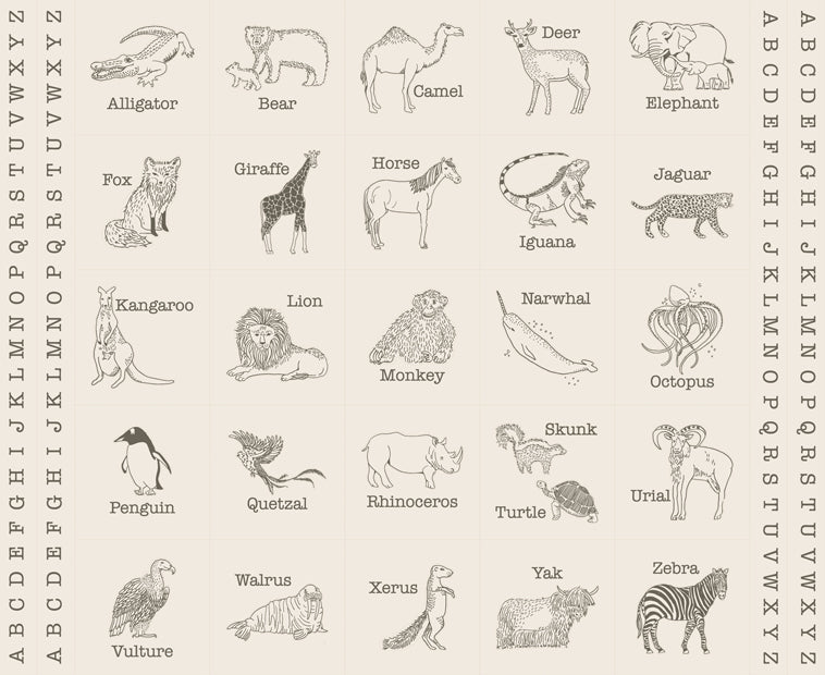 Animal Park Fun by Stacy Iest Hsu : Animal Park Block Panel Dove Charcoal 20968 21