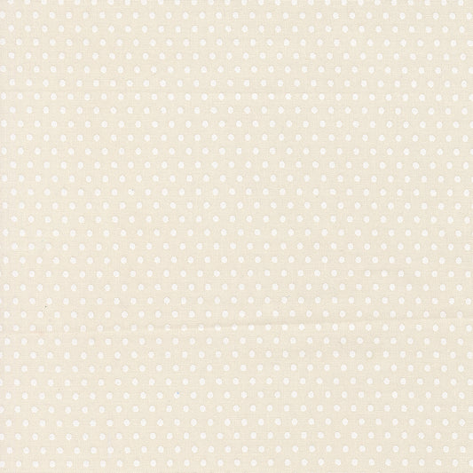 Animal Park Fun by Stacy Iest Hsu : Dotty Dot Dove Natural 20967 21 (Estimated Arrival January 2026)