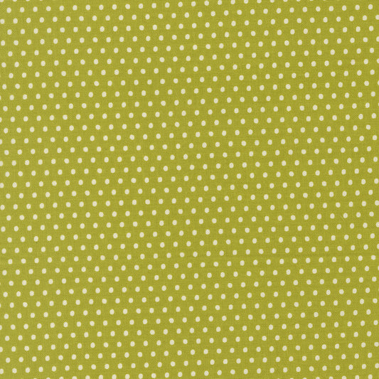 Animal Park Fun by Stacy Iest Hsu : Dotty Dot Iguana 20967 16 (Estimated Arrival January 2026)